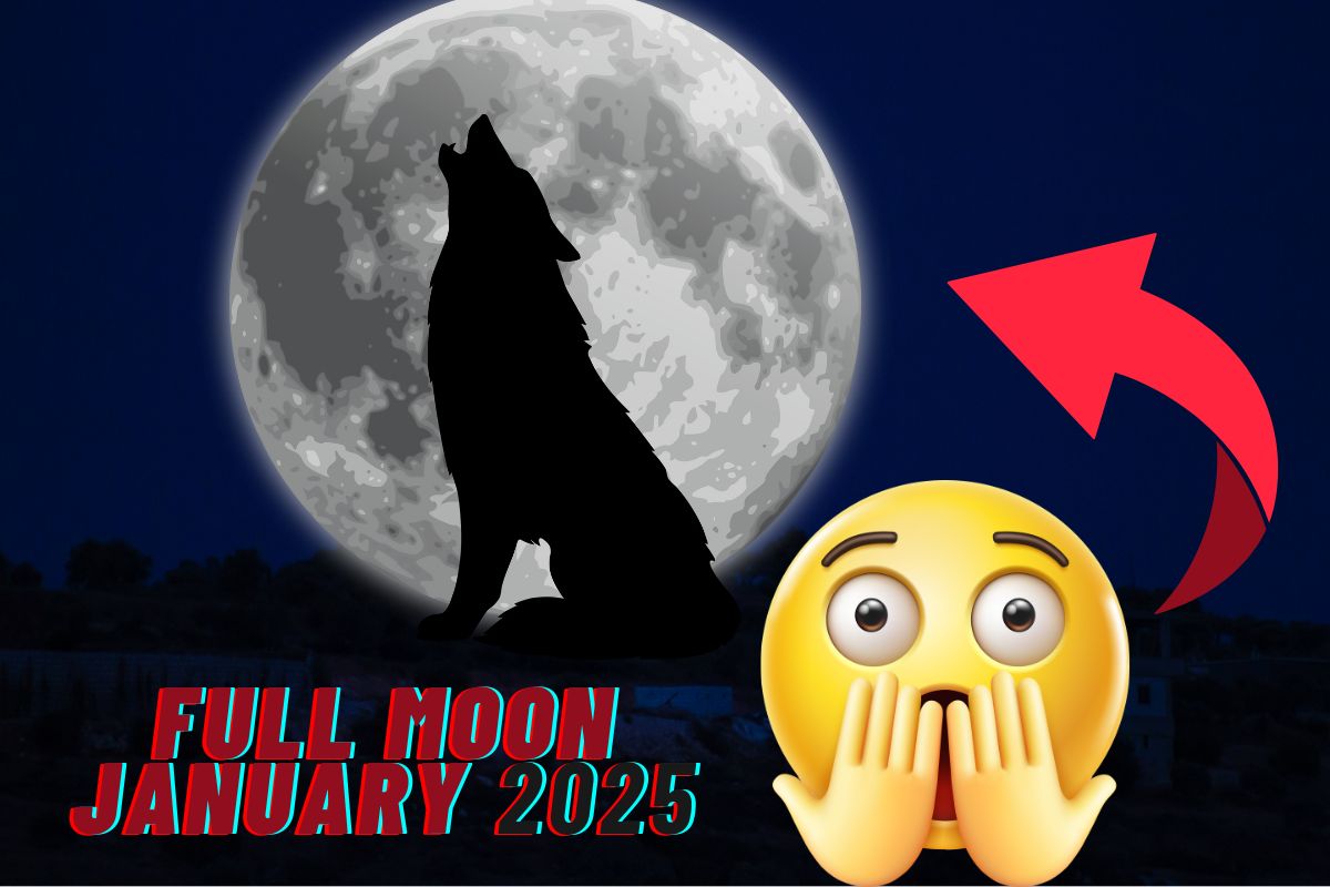 Full Moon January 2025 The Wolf Moon Illuminates the Sky